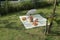 Landscape picnic area with snacks laid out on outdoor mats for the holidays.