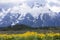 Landscape picture of Grand Tetons Mountain Range