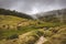 Landscape picture of Sri Lanka fields and trees, toned