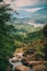 Landscape picture of Sri Lanka fields and trees, toned