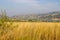 Landscape in Pilanesberg National Park