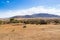 Landscape from Pilanesberg National Park, South Africa