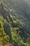 Landscape of pine trees in the mountains of La Palma, Canary Islands, Spain. Forestry with view of hills covered in