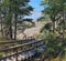 Landscape with pines on sand dunes, Saulkrasti - Latvia