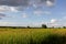 Landscape plain sky clouds