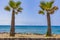 Landscape Playa de las Americas Canary Spanish island Tenerife Africa