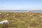 Landscape at Pointe de Dinan in Brittany