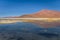 Landscape of the Polques Hot Springs in Eduardo Avaroa National Park, Bolivia
