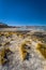 Landscape of the Polques Hot Springs in Eduardo Avaroa National Park, Bolivia