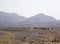 Landscape portrait of camel caravan transporting salt across rough inhospitable terrain Ass Ale Salt Lake Ethiopia