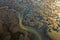 Landscape of puddles and flow stream formed after draining water from Milickie ponds in Poland