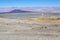 Landscape at the Puna de Atacama with volcano Carachi Pampa in the background, Argentina