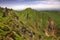 Landscape in Puy de Sancy Mountain