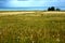 Landscape of Qinghai Lake