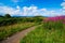 Landscape at Queens View in Scotland