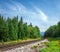 Landscape railroad in summer forest day closeup