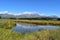 Landscape in Rakatu Wetlands in New Zealand