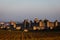 Landscape of rampart towers rising from vineyards