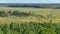 Landscape from Rannametsa vaatetorn, panoramic view of Tolkuse bog hiking trail over the tops of trees from the tower, PÃ¤rnu