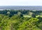 Landscape from Rannametsa vaatetorn, the sea can be seen from the top of the trees, PÃ¤rnu county, Estonia