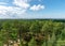 Landscape from Rannametsa vaatetorn, the sea can be seen from the top of the trees, PÃ¤rnu county, Estonia