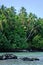 Landscape of Rapota Island in Aitutaki Lagoon Cook Islands