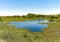 Landscape of the recently opened Ibera Wetlands National Park, Argentina with blue lagoon in a grassland scenery
