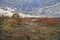 Landscape with red Smoketree