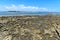 Landscape of reefs with rock formations of the natural pools of Praia dos Carneiros