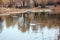 Landscape reflected in a forest autumn lake in retro style, under film