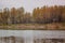 Landscape reflected in a forest autumn lake in retro style, under film