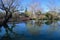 Landscape Reflection Photography in Napa Valley