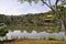 Landscape reflexion on Mirror Pond from Kinkaku-ji or Golden Pavilion Temple and Mirror Pond from Kyoto in Japan