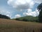 Landscape in region Ardennes on the boarder between germany, belgium and luxembourg