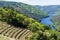 Landscape within the region of Ribeira Sacra Spain