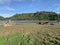 Landscape of reservoir with cracked mud and green grass in summer season