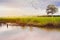 Landscape rice field