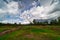 Landscape With Rice Field