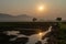 Landscape of rice field with newly planted rice sprouts in the sunrise.