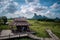 Landscape of rice field in southern area in Thailand