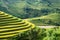 Landscape of rice field terraced with river in Mu Cang Chai