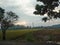 Landscape of rice fields ready for harvest with trees and clear afternoon sky in Bandung city, West Java, Indonesia