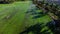 Landscape of Rice fields and water in the rice fields