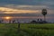 Landscape of rice paddy field during sunset in Cambodia. Nature composition