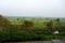 Landscape of Rice Paddy Fields Far to the Horizon