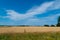 Landscape of ripe cornfield with blue sky and whitespace for tex