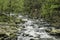 Landscape with river Bode in the Harz area, Germany