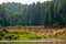 Landscape with river, cliff  and forest in Latvia