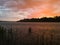 Landscape with river, colorful clouds, water grass and mountain in distance at sunset. Dramatic riverine scene during cloudy dusk