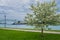 A landscape of a river with a freighter, bridge and a tree